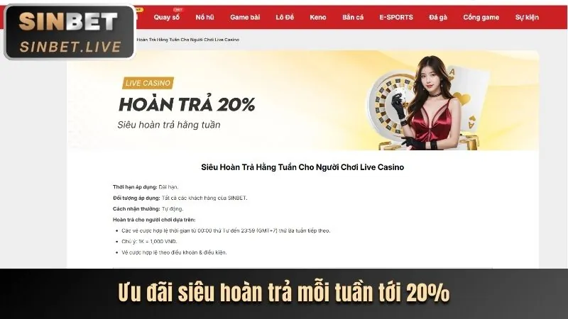 Giao diện thân thiện và dễ sử dụng